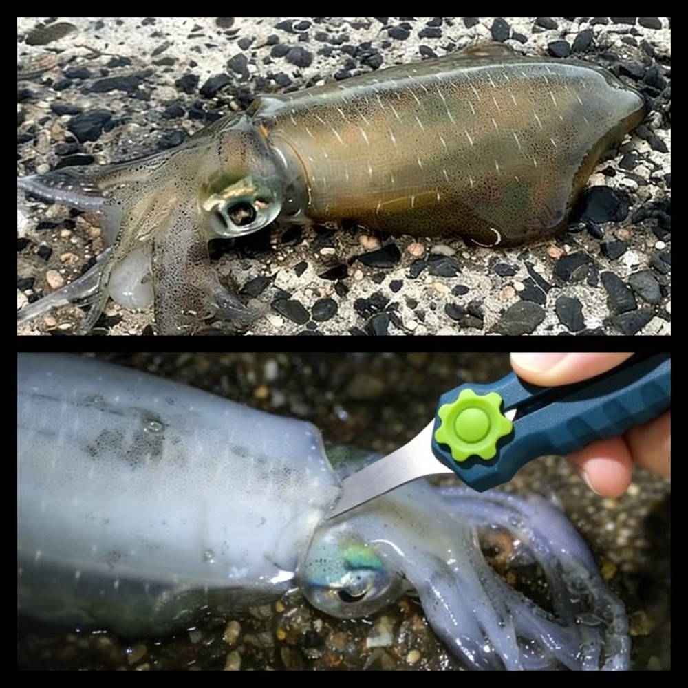 กรรไกรตัดสายเบ็ดตกปลาสแตนเลส ด - Fishing Line Cutter บทวิจารณ์และราคา